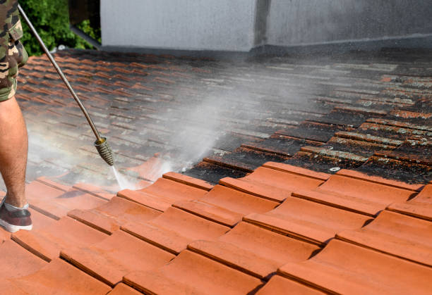 Best Pressure Washing Near Me  in Silver Springs, FL