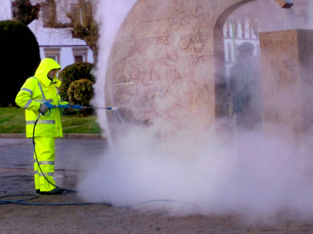 Best Roof Pressure Washing  in Silver Springs, FL